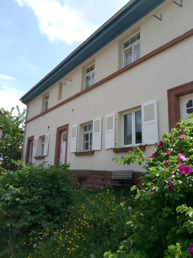 Haus Pfaffenfels Lejlighed Schönau Eksteriør billede